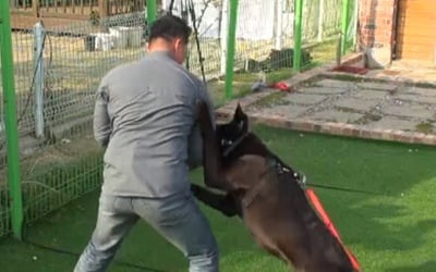 '개훌륭' 역대급 고민견 등장, 목줄·입마개 풀고 강형욱 기습→훈련 중단까지