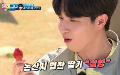 김재환 PPL 효과?…'텔레그나' 나온 논산 딸기 '일시 품절'