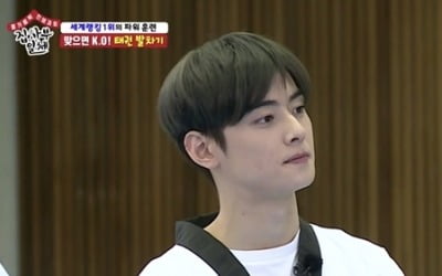'집사부일체' 차은우, 얼굴도 천재 열정도 천재… 태권도까지 잘했다