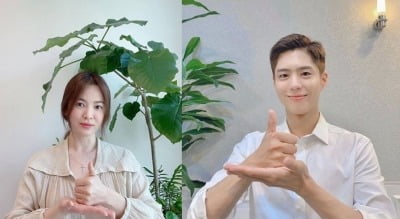 송혜교부터 박보검까지…'덕분에 챌린지'에 동참한 ★들 [종합]