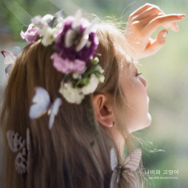 볼빨간사춘기 '나비와 고양이' 커버./ 사진제공=쇼파르뮤직