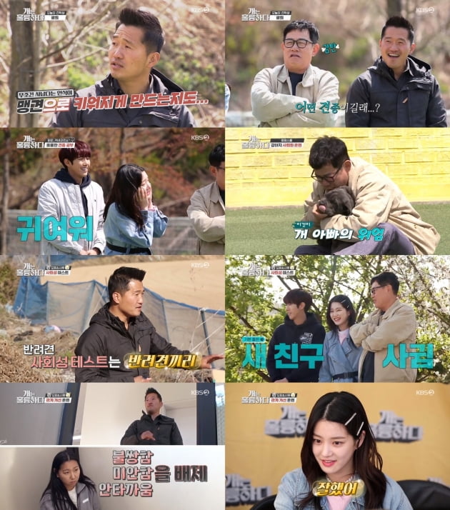 지난 11일 방송된 '개는 훌륭하다' /사진=KBS2 제공