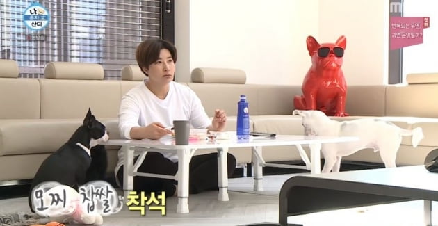 '나 혼자 산다' 박세리/사진=MBC '나 혼자 산다' 영상 캡처