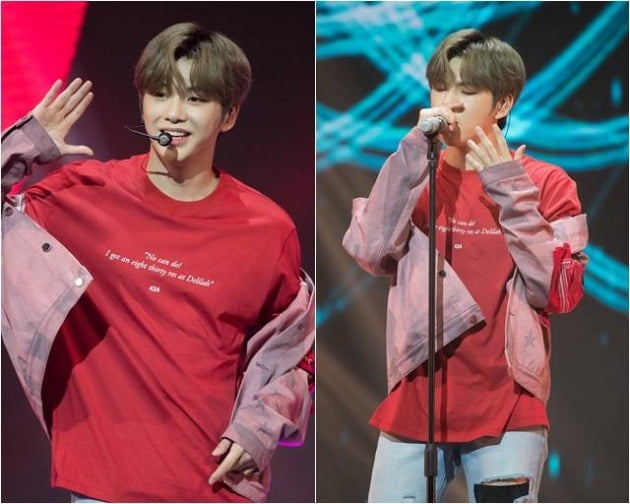 가수 강다니엘./ 사진제공=틱톡