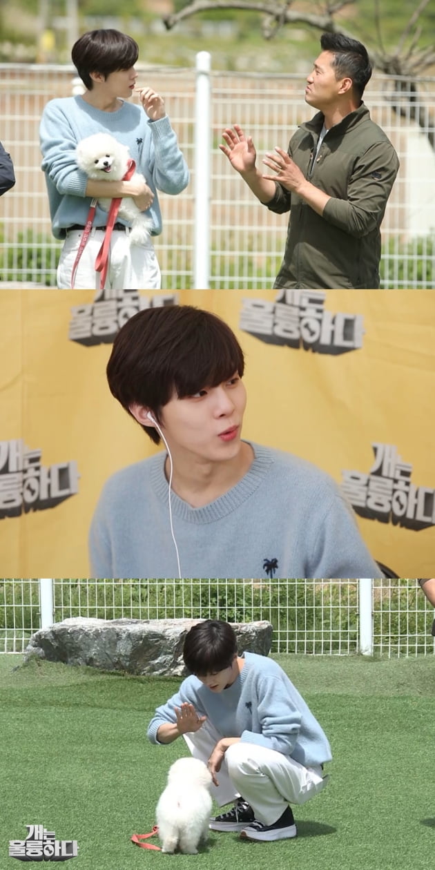 '개는 훌륭하다' 예고/ 사진=KBS2 제공