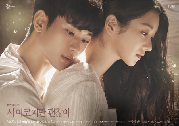 '사이코지만 괜찮아' 캐릭터 포스터'./ 사진제공=tvN