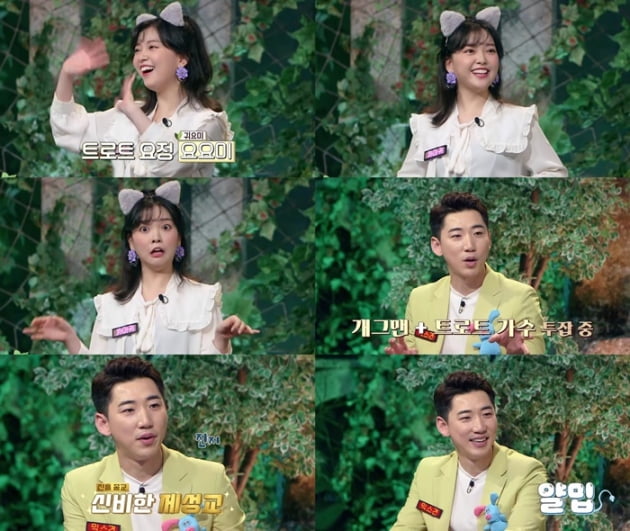 '신비한 동물퀴즈' 요요미 영기 / 사진 = MBN 제공