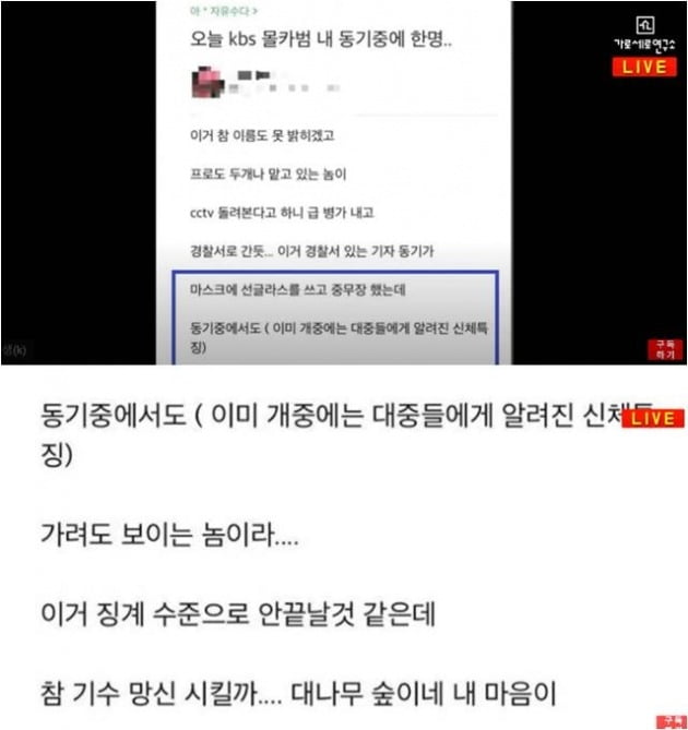 유튜브 채널 '가로세로연구소' 캡처.