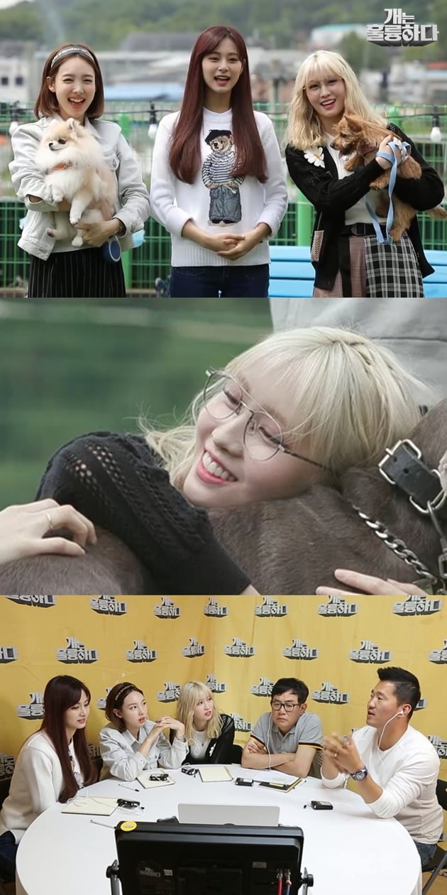 '개훌륭' 트와이스 출격 /사진=KBS2 제공