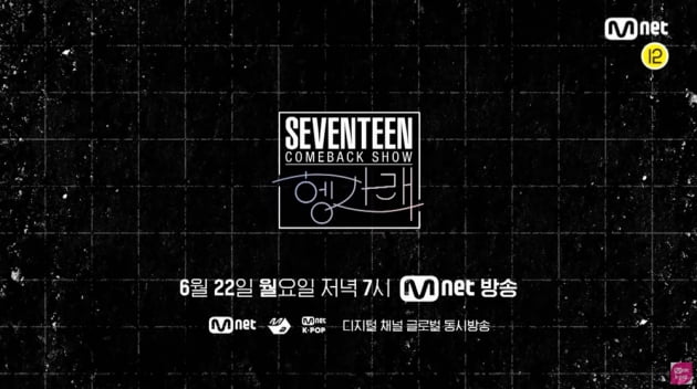 그룹 세븐틴 / 사진제공=플레디스엔터테인먼트