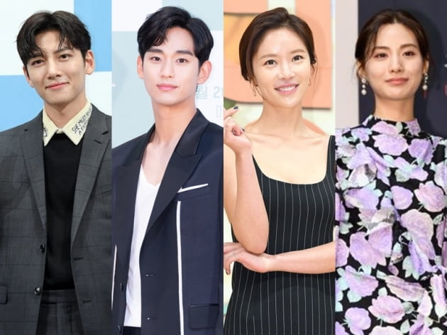 배우 지창욱(왼쪽부터), 김수현, 황정음, 나나/ 사진=텐아시아DB, tvN