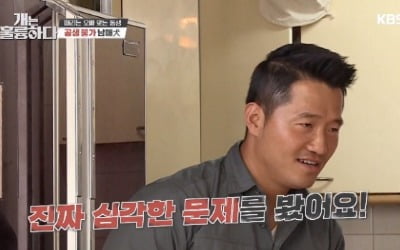 '개는 훌륭하다' 코비 편, 시청자 지적+분노이어져 "보기 불편했다"