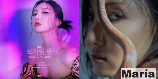 가수 선미, 화사 / 사진제공=\메이크어스엔터테인먼트, RBW 