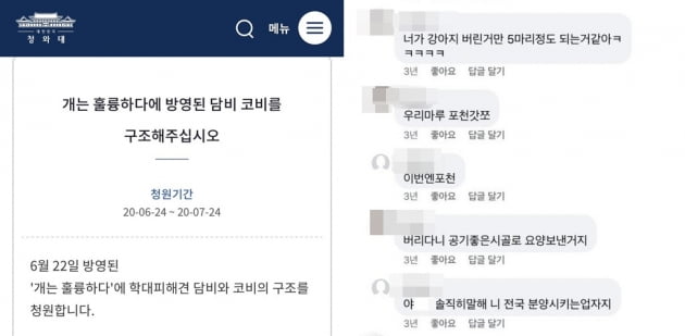 견주를 향한 청와대 국민청원(왼쪽), 과거 SNS 댓글/ 사진=청와대, 페이스북 캡처