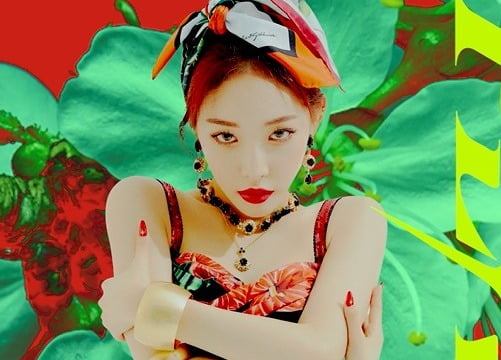 청하, 7월에도 평범함을 거부한다