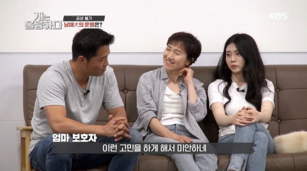 지난 22일 방송된 '개훌륭'/ 사진=KBS2 방송 화면