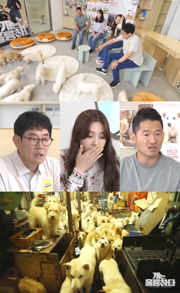 '개훌륭' 예고/ 사진=KBS2 제공