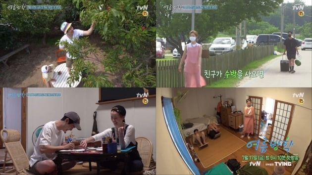 '여름방학' 예고./사진제공=tvN