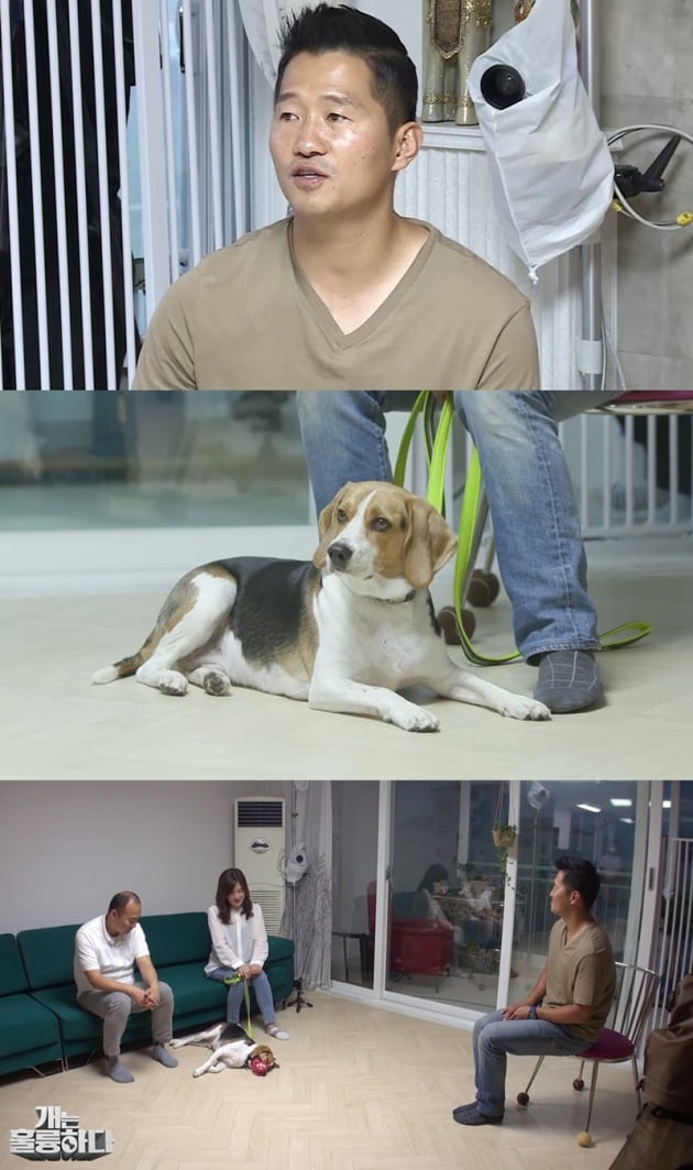 '개는 훌륭하다' 강형욱 / 사진 = KBS 제공