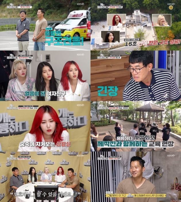 '개훌륭' 고민견 쿠키 사연 / 사진=KBS2 제공