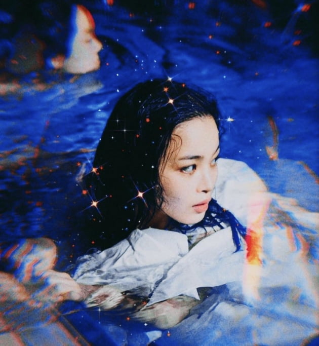 이하이 트위터 캡쳐