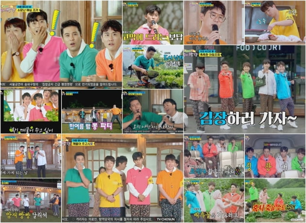 '뽕숭아학당' 11주 연속 시청률 1위…트롯맨 F4 장맛비 투혼
