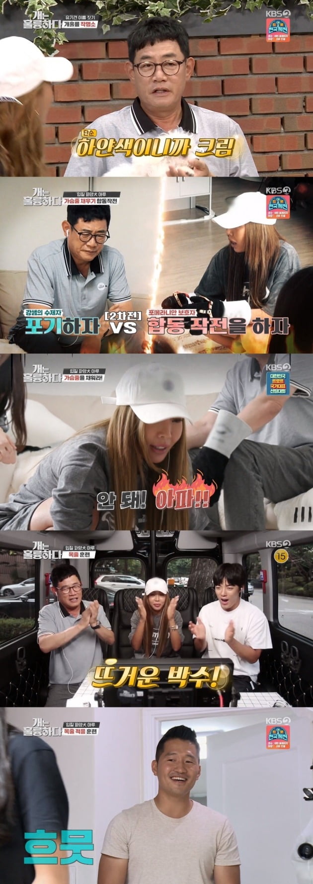 사진= KBS '개는 훌륭하다' 방송 화면.