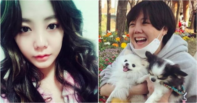 [스타탐구생활] '배우 고은아 vs 본캐 방효진'…원조 여신의 반전미 (TEN컷)