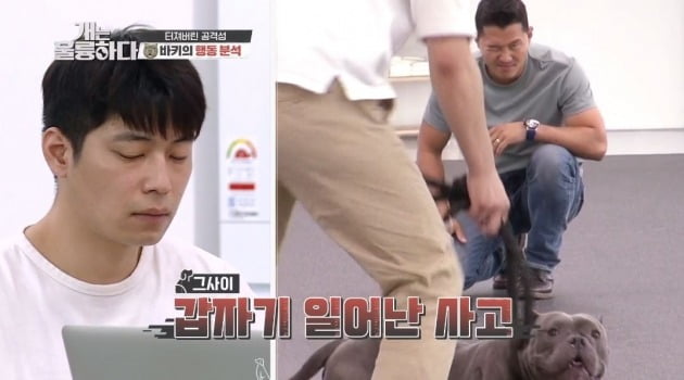 /사진=KBS 2TV '개는 훌륭하다' 방송화면