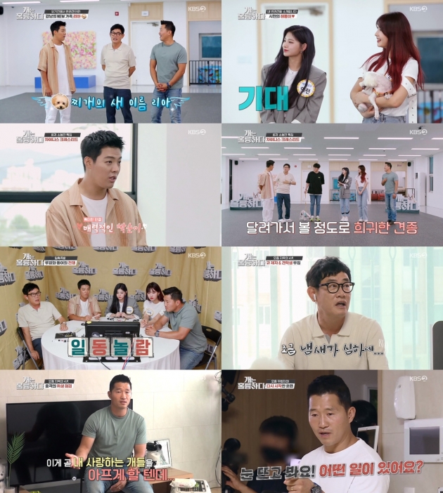 '개는 훌륭하다' /사진=KBS2 제공