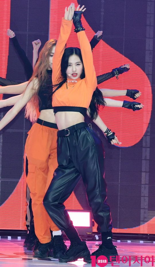 [B컷 방출] 체리블렛 지원 '생일 맞은 아기고양이…러블리 끝판왕'