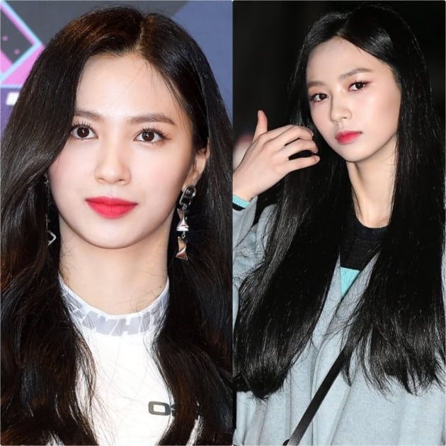 [B컷 방출] 체리블렛 지원 '생일 맞은 아기고양이…러블리 끝판왕'