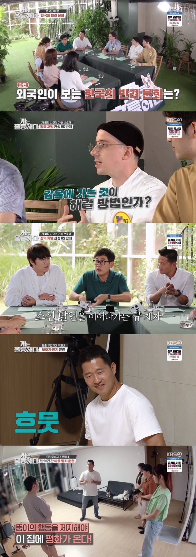 '개는 훌륭하다' 방송 화면./사진제공=KBS
