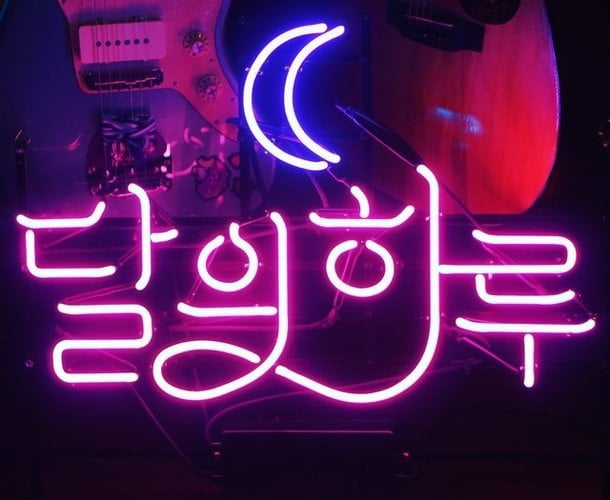 /사진 = 달의하루 트위터