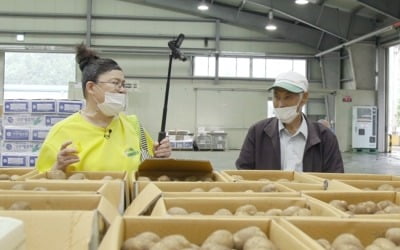 '편스토랑' 이영자, '감자 챌린지' 나섰다
