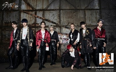 스트레이 키즈, 새 앨범 'IN生' 선주문 30만 돌파 "자체 최고 기록 또 경신"
