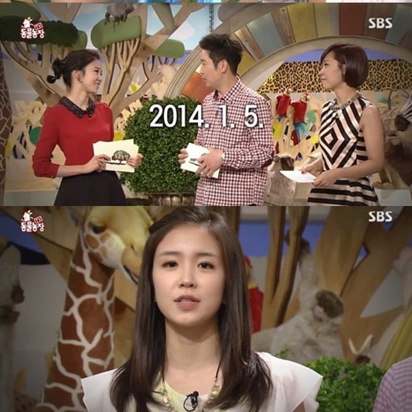 장예원 아나운서/사진=SBS 'TV동물농장' 영상 캡처