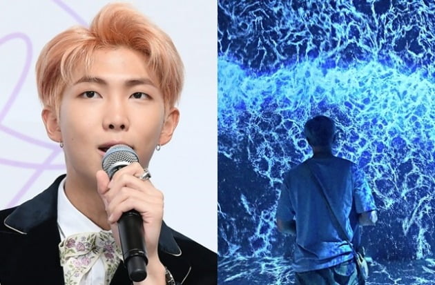 '별이 빛나는 해변' 전시를 관람 중인 RM /사진=방탄소년단 공식 트위터 , 텐아시아 DB