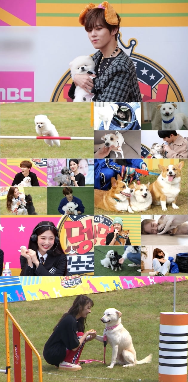 '아멍대' 예고/ 사진=MBC 제공
