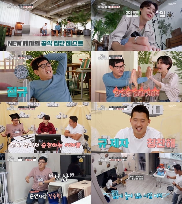 12일 방송된 '개는 훌륭하다'/ 사진=KBS2 제공