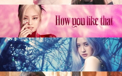 블랙핑크. 또 K팝 최단 신기록…'How You Like That' MV 6억 뷰 돌파 [공식]