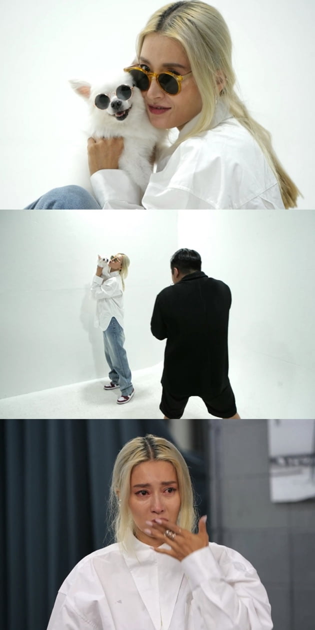 '펫 비타민' / 사진 = KBS 제공
