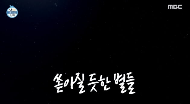 사진 = MBC '나혼자산다' 방송화면 캡처
