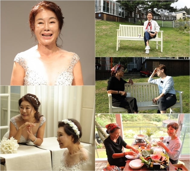 '스타다큐 마이웨이' / 사진 = TV조선 제공