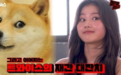 '문명특급' 트와이스 사나, 시바견 짤 개인기? "똑같아"