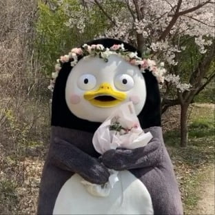 사진=펭수 인스타그램
