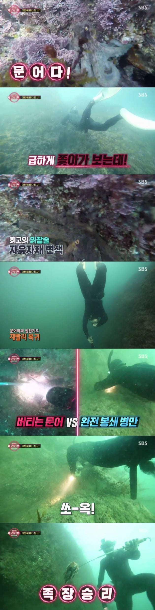 '정글의 법칙' / 사진 = SBS 제공