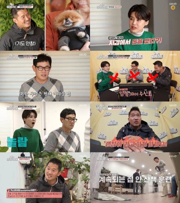 16일 방송된 '개는 훌륭하다' / 사진=KBS2 제공