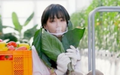 '편스토랑' 이유리, 파프리카 농장 사다리서 '마법의 성' 열창