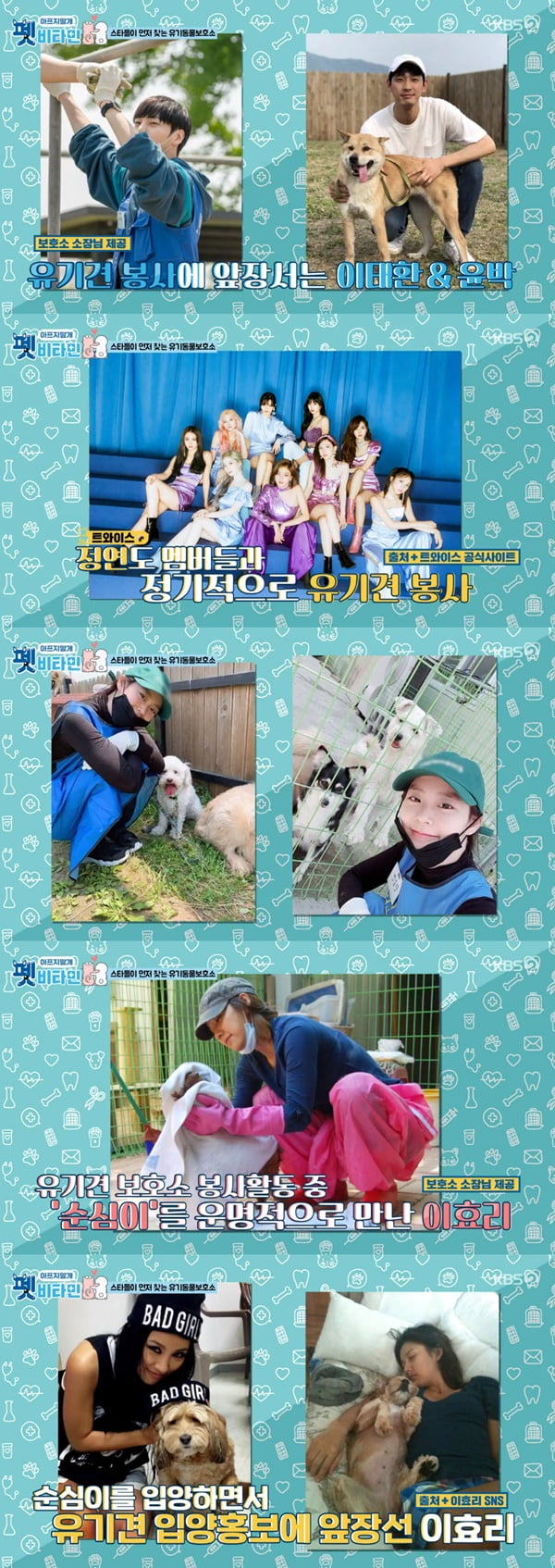 '펫 비타민' / 사진 = KBS 영상 캡처